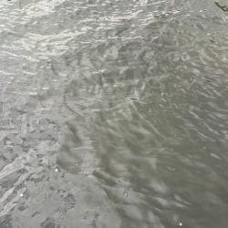 2025 佐渡ヶ島エギング Vol.34【10月19日】