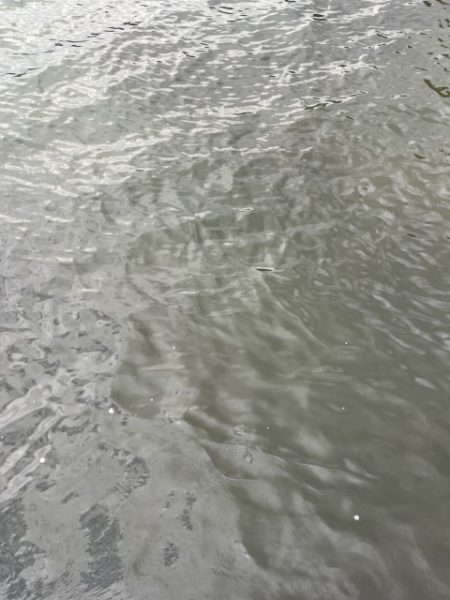 2025 佐渡ヶ島エギング Vol.34【10月19日】