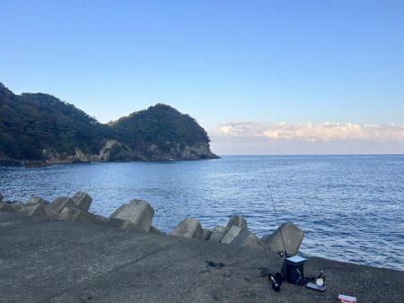 久しぶりのアジ