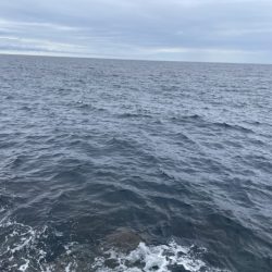 2025 佐渡ヶ島エギング Vol.40【10月26日】