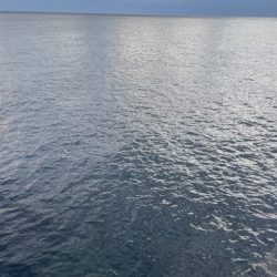 2025 佐渡ヶ島エギング Vol.41【10月27日】