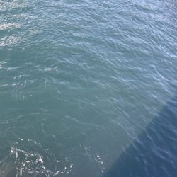 2025 佐渡ヶ島エギング Vol.42【10月29日】