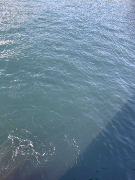 2025 佐渡ヶ島エギング Vol.42【10月29日】