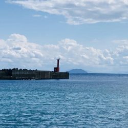 久しぶりにGコン活躍