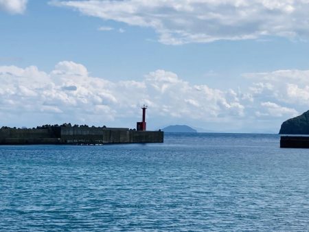 久しぶりにGコン活躍