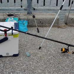 アジ釣り　高活性