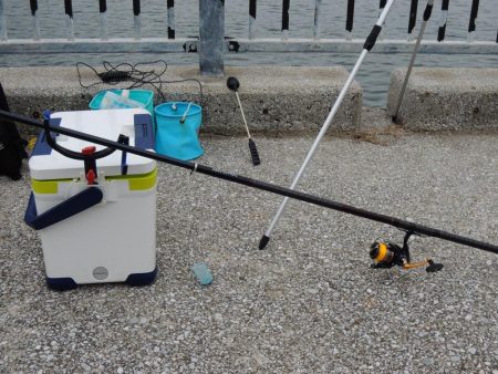 アジ釣り　高活性