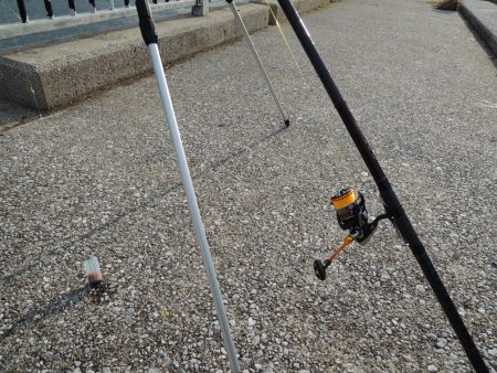 アジ釣り　フグの猛攻