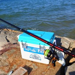 キス釣り ミニ軍団に降参