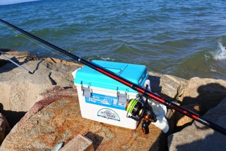 キス釣り ミニ軍団に降参