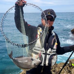 和歌山日置(三倉渡船)でグレ釣り