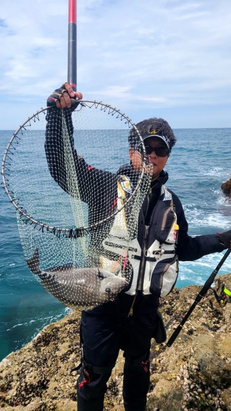 和歌山日置(三倉渡船)でグレ釣り