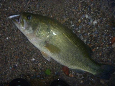 10月17日　一庫ダム釣行