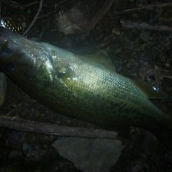10月19日 一庫ダム釣行