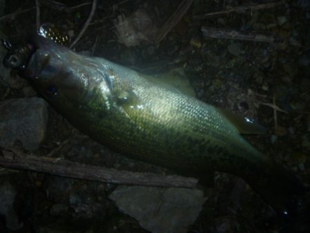 10月19日 一庫ダム釣行