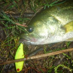 10月22日 一庫ダム釣行