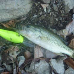 一庫ダム釣行　10月28日