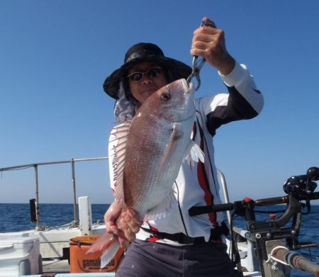 青物落とし込み釣り