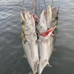 ショアジギング