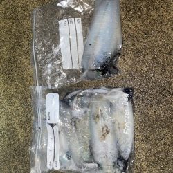 アオリがやっとツー抜き