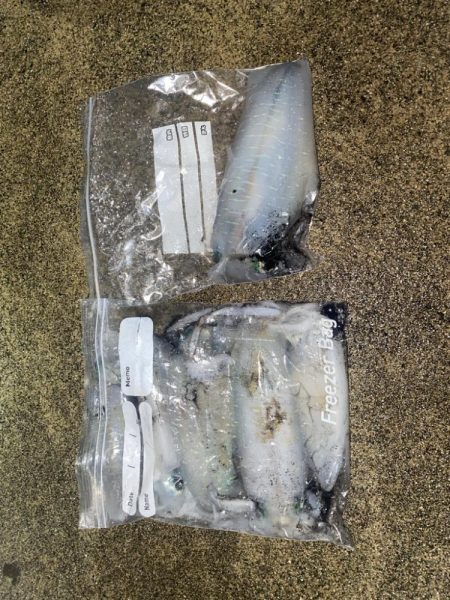 アオリがやっとツー抜き