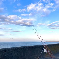 寒いけど楽しい釣行