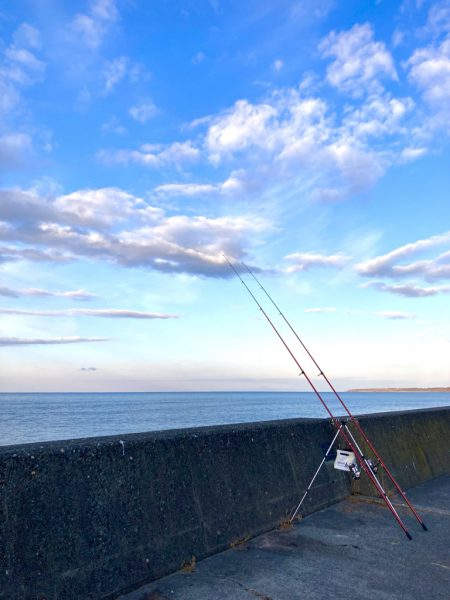 寒いけど楽しい釣行