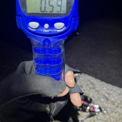 秋🦑　潮が大事！😊