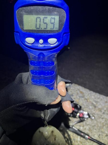 秋🦑　潮が大事！😊