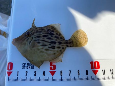 今シーズン初ウマズラ！