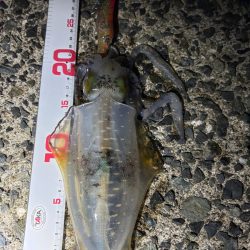 晩御飯の一品が…