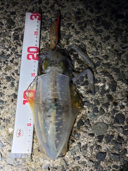 晩御飯の一品が…