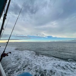 ティップランエギング