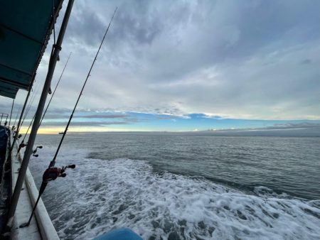 ティップランエギング