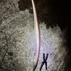 納竿直前の大物！