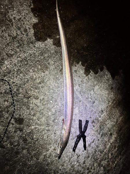 納竿直前の大物！