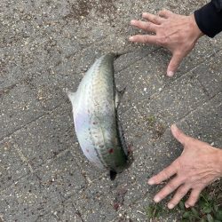 大阪湾奥ショアジギ