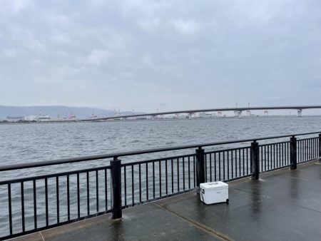 アジ・メジロ　ダブルヘッダー