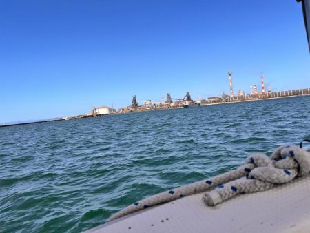 スナメリのせいで青物の気配なし