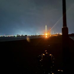 【悲報】サゴシ祭り終了のお知ら