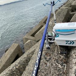 隙間時間のシロギスタ