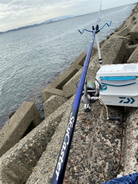 隙間時間のシロギスタ