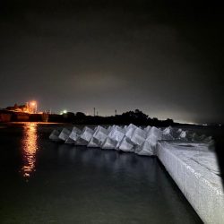 平日短時間釣行