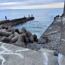 朝マズメエギング