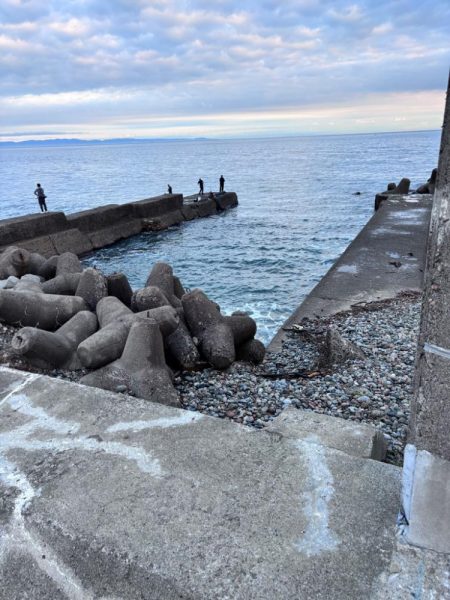 朝マズメエギング