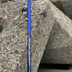 シロギスタ、カワハギスタ…マゴチスタ