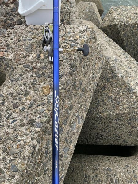 シロギスタ、カワハギスタ…マゴチスタ