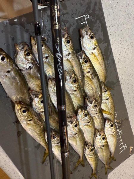 鯵道5Ｇ鱗付け！