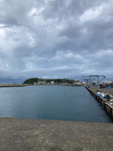 雨でもコウイカは抱く