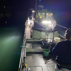 和歌山ティップラン